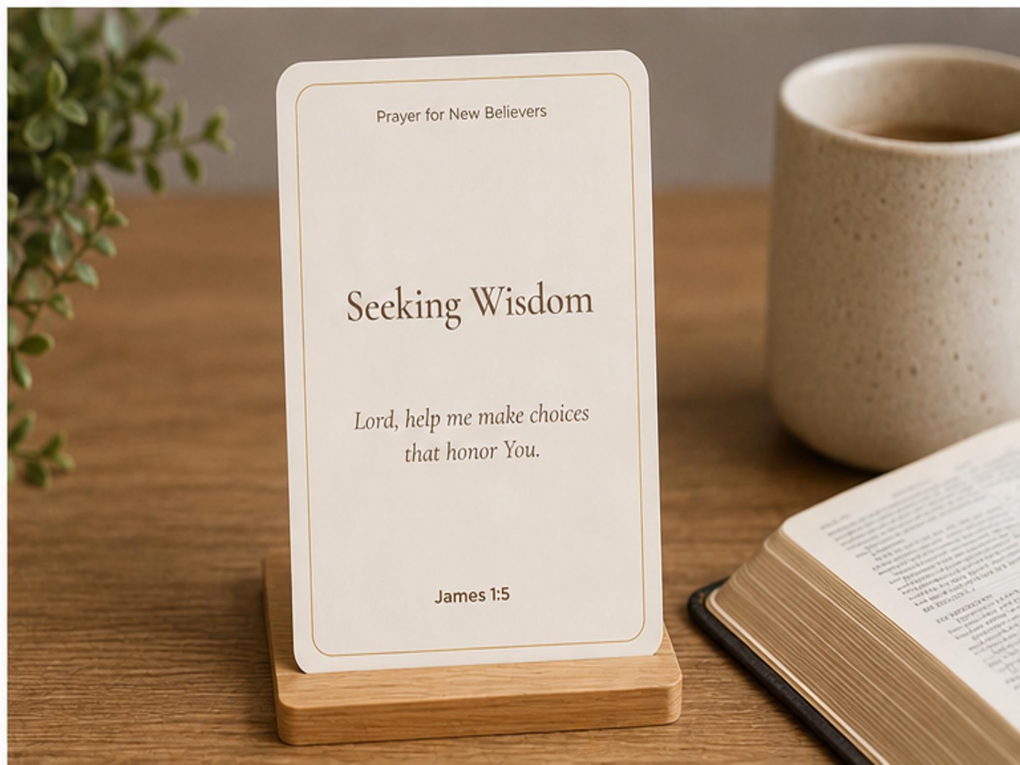 New Believer Prayer Cards, Christian Scripture, Faith Growth, Baptism Gift
