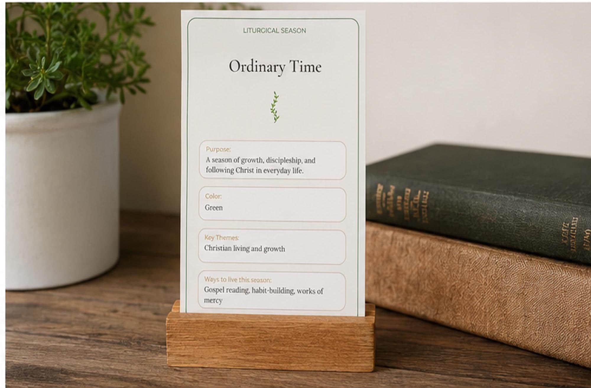 Catholic Liturgical Season Guide Cards, Church Year Reference, OCIA RCIA Gift, Bible Study Set